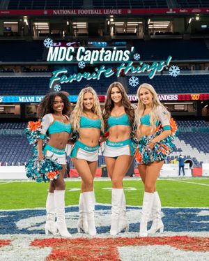 Image post by @dolphinscheer on Instagram