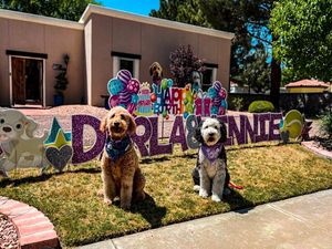 Image post by @cardmyyardelpaso on Instagram