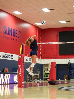 Image post by @southalabamavb on Instagram
