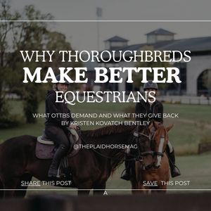 Image post by @theplaidhorsemag on Instagram