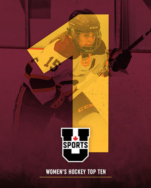 Image post by @the_stingers on Instagram