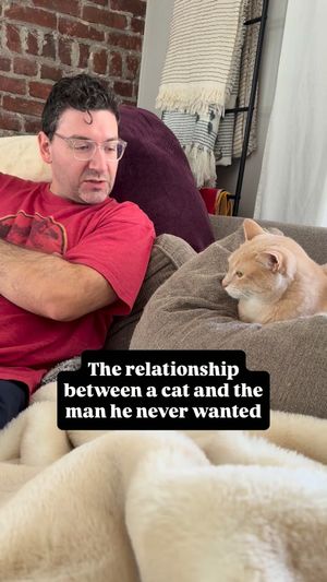 Image post by @thegoldenbreakfastclub on Instagram