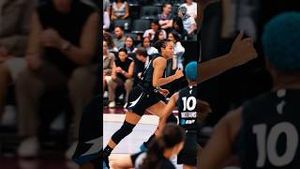 Video post by @minnesotalynx on YouTube