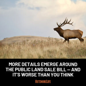 Image post by @outdoor_life on Instagram