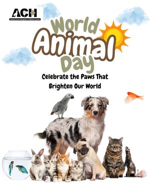 Image post by @achwalnutcreek on Instagram