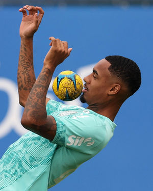 Image post by @palmeiras on Instagram