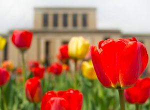 Image post by @pennstateliberalarts on Instagram