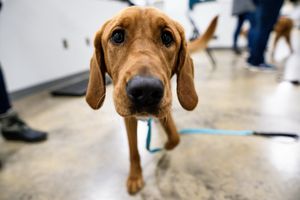 Image post by @jaydynjenayaphotos on Instagram