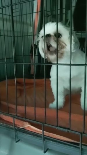 Video post by @alyshiafaith on Instagram