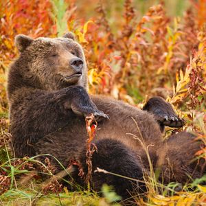 Image post by @discovery on Instagram
