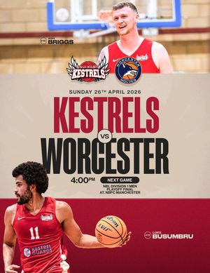 Image post by @solent_kestrels on Instagram