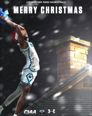 Image post by @livingstonebball on Instagram