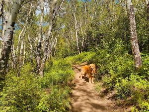 Image post by @arrowheadco on Instagram