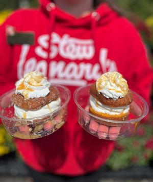 Image post by @stewleonards on Instagram