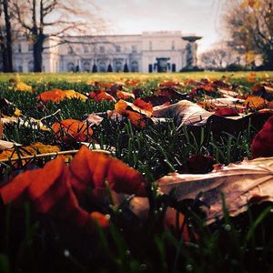 Image post by @newport.mansions on Instagram