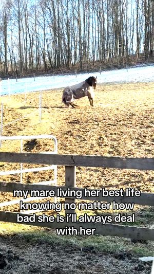Image post by @Rodeo Girlies Club on Facebook