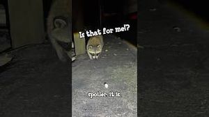 Video post by @evolsoulx on YouTube
