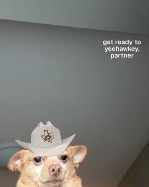 Image post by @dallasstars on Instagram