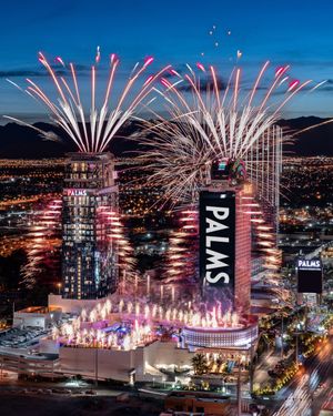 Image post by @palms on Instagram