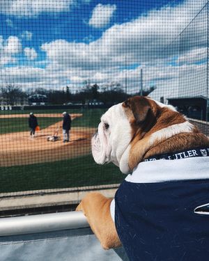 Image post by @butler_base on Instagram