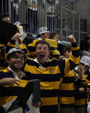 Image post by @qupepband on Instagram
