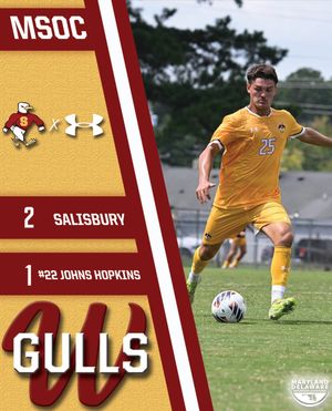 Image post by @suseagulls on Instagram