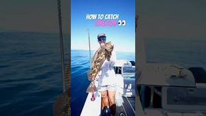 Video post by @daltonmauldin5 on YouTube