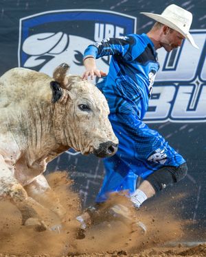 Image post by @ultimatebullfighters on Instagram