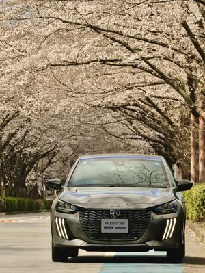 Image post by @peugeot on Instagram