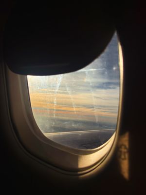 Image post by @alexandriawillard12 on Instagram