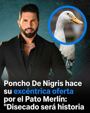 Image post by @canalestrellatv on Instagram