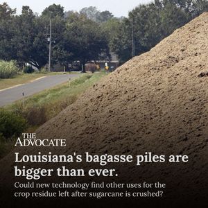 Image post by @theadvocatebr on Instagram