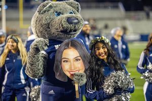 Image post by @nevadacheerleading on Instagram