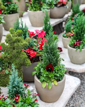 Image post by @rogersgardens on Instagram