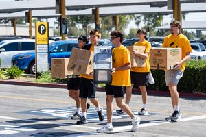 Image post by @lbsumbb on Instagram