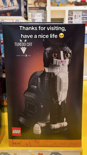 Video post by @lego on TikTok