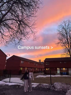 Image post by @bostoncollege on TikTok