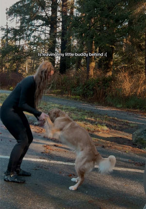 Video post by @frothyblonde on TikTok