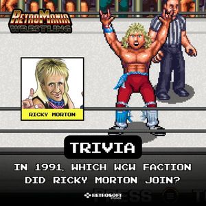 Image post by @RetrosoftStudio on Twitter