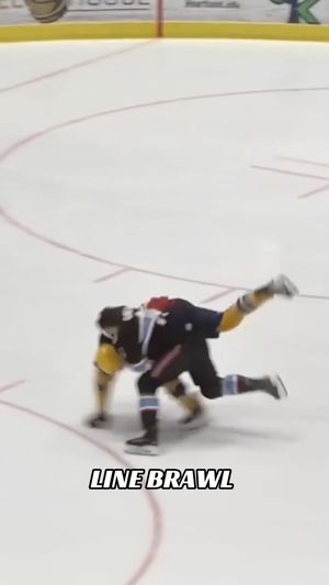 Video post by @bloomingtonbison on Facebook