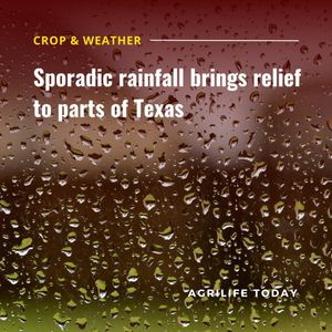 Image post by @txextension on Instagram