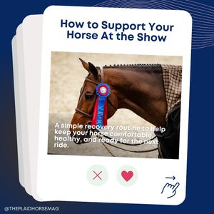 Image post by @theplaidhorsemag on Instagram