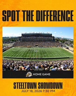 Image post by @hamiltontigercats on Instagram