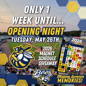 Image post by @burlington_bees on Instagram