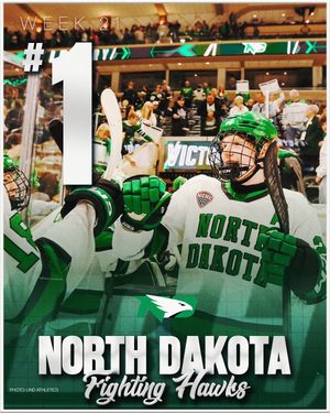 Image post by @everythingcollegehockey on Instagram