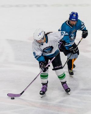 Image post by @womenofhockeysj on Instagram