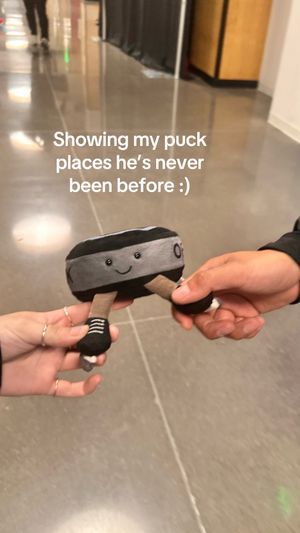 Video post by @knight_monsters on TikTok