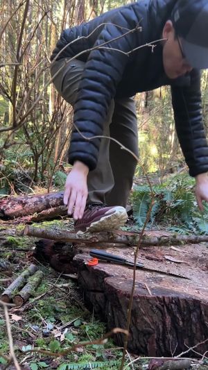 Video post by @solostove on TikTok