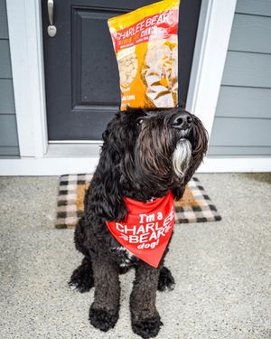 Image post by @charlee_bear_dogtreats on Instagram