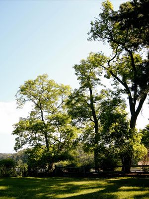 Image post by @katierphotos on Instagram